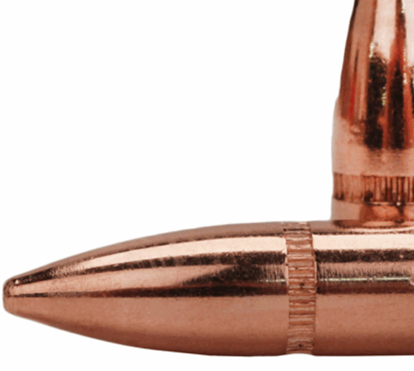hornady bullets 22 cal 55gr fmj bt w c
