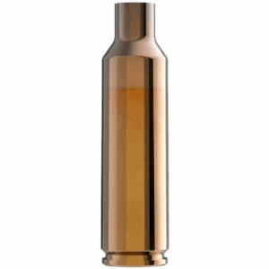lapua cases 300 win mag