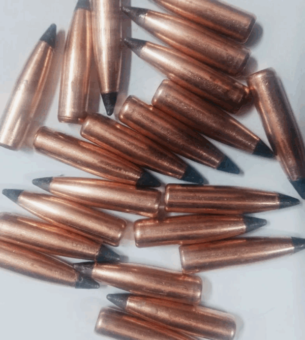 bullet apm 6mm 105gr (100)