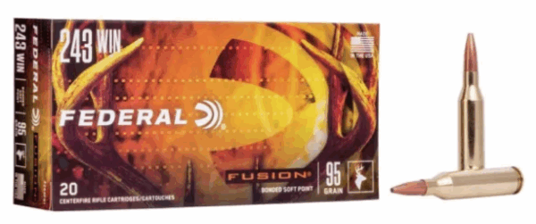 ammo federal fusion 243 win 95gr (20)