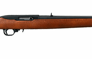 ruger 10 22 22 lr rifle