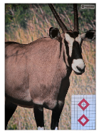 TARGET SA JAGTERS